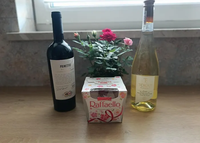 Naleczowska Apartamento *